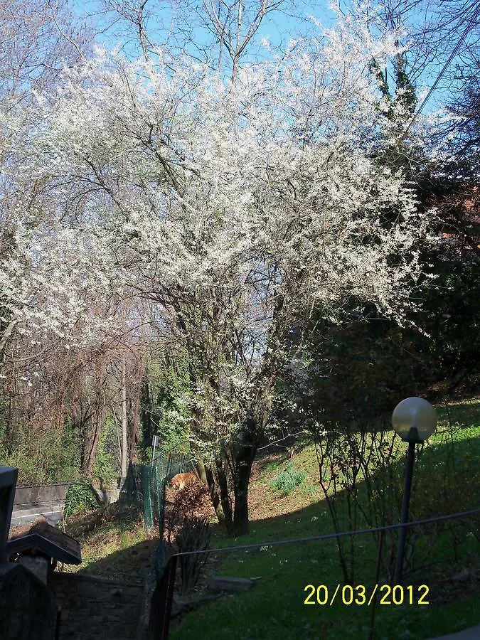 Alojamento de Acomodação e Pequeno-almoço B&B I Ghiri Bérgamo